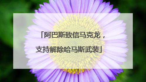 阿巴斯致信马克龙，支持解除哈马斯武装