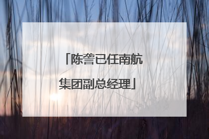 陈詟已任南航集团副总经理