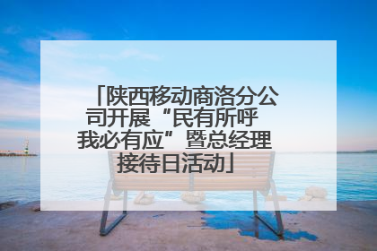 陕西移动商洛分公司开展“民有所呼 我必有应”暨总经理接待日活动