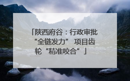 陕西府谷：行政审批“全链发力” 项目齿轮“精准咬合”
