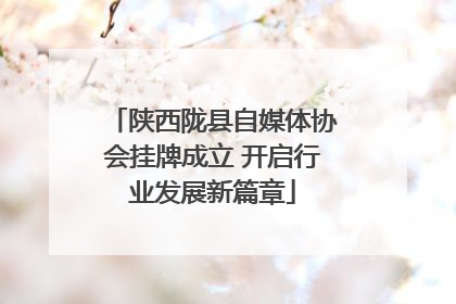 陕西陇县自媒体协会挂牌成立 开启行业发展新篇章