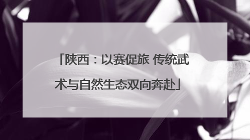 陕西：以赛促旅 传统武术与自然生态双向奔赴