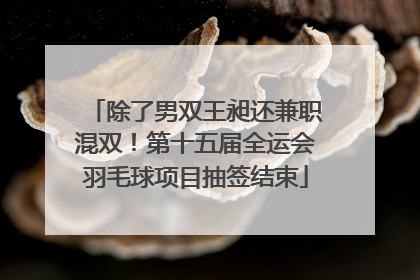 除了男双王昶还兼职混双！第十五届全运会羽毛球项目抽签结束