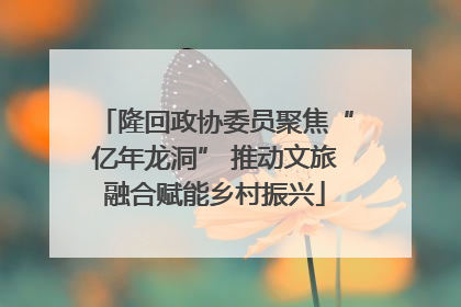 隆回政协委员聚焦“亿年龙洞” 推动文旅融合赋能乡村振兴