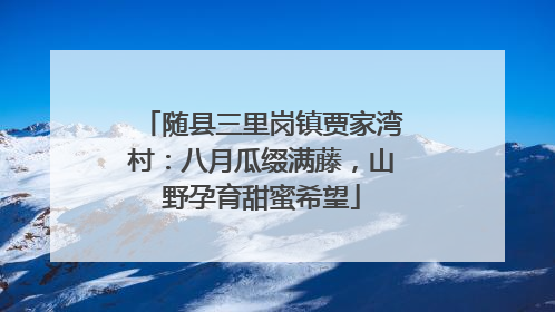 随县三里岗镇贾家湾村：八月瓜缀满藤，山野孕育甜蜜希望