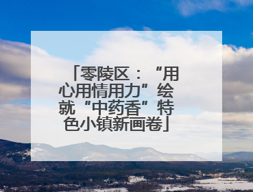 零陵区：“用心用情用力”绘就“中药香”特色小镇新画卷