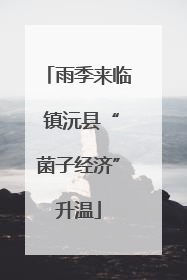 雨季来临 镇沅县“菌子经济”升温