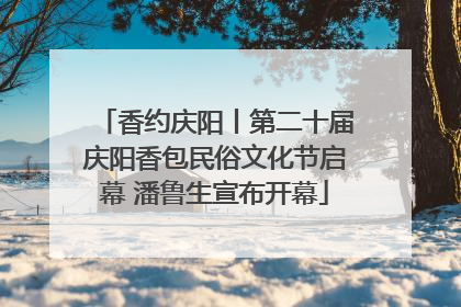 香约庆阳丨第二十届庆阳香包民俗文化节启幕 潘鲁生宣布开幕