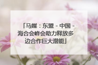 马媒：东盟－中国－海合会峰会助力释放多边合作巨大潜能