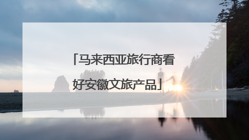 马来西亚旅行商看好安徽文旅产品
