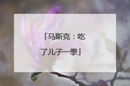 马斯克：吃了儿子一拳