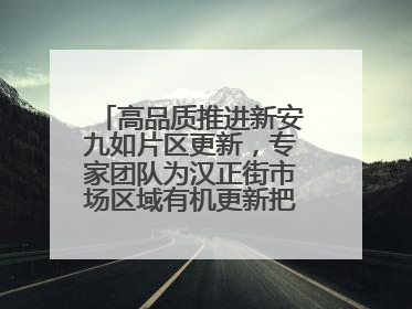高品质推进新安九如片区更新，专家团队为汉正街市场区域有机更新把脉问诊