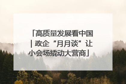 高质量发展看中国｜政企“月月谈”让小会场撬动大营商