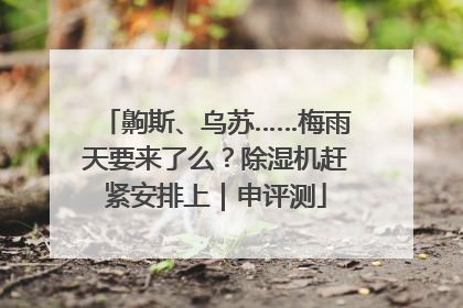 齁斯、乌苏……梅雨天要来了么？除湿机赶紧安排上｜申评测