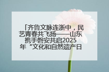 齐鲁文脉连浙中，民艺青春共飞扬——山东携手磐安共启2025年“文化和自然遗产日”系列活动