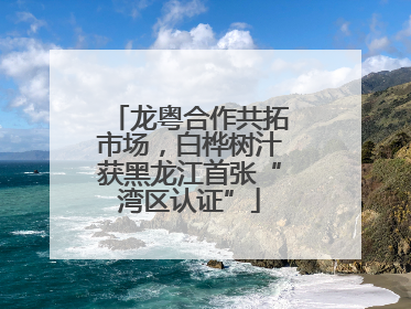 龙粤合作共拓市场，白桦树汁获黑龙江首张“湾区认证”