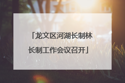 龙文区河湖长制林长制工作会议召开