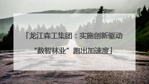 龙江森工集团：实施创新驱动 “数智林业”跑出加速度
