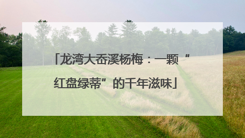 龙湾大岙溪杨梅：一颗“红盘绿蒂”的千年滋味