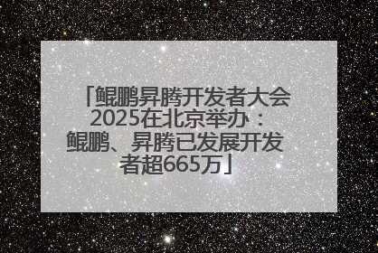 鲲鹏昇腾开发者大会2025在北京举办：鲲鹏、昇腾已发展开发者超665万