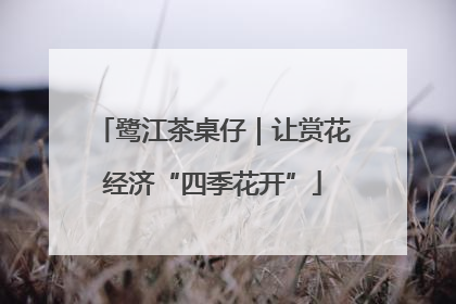 鹭江茶桌仔｜让赏花经济“四季花开”