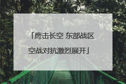 鹰击长空 东部战区空战对抗激烈展开