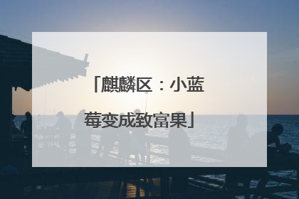 麒麟区：小蓝莓变成致富果