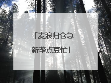 麦浪归仓急 新垄点豆忙