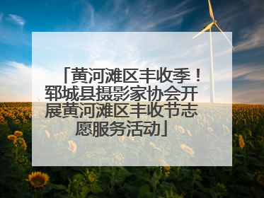 黄河滩区丰收季！郓城县摄影家协会开展黄河滩区丰收节志愿服务活动