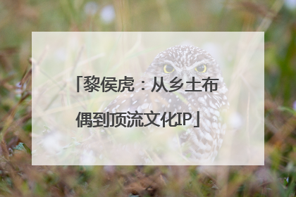 黎侯虎：从乡土布偶到顶流文化IP