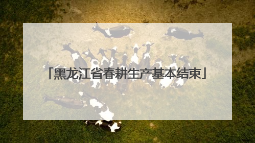 黑龙江省春耕生产基本结束