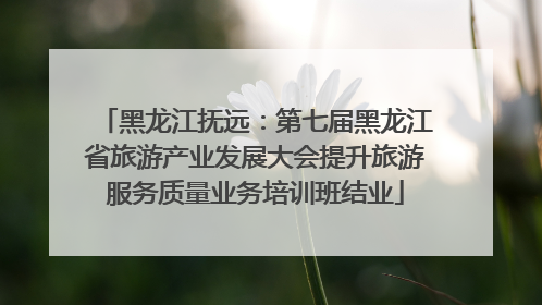 黑龙江抚远：第七届黑龙江省旅游产业发展大会提升旅游服务质量业务培训班结业