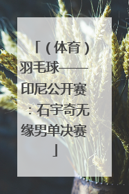 （体育）羽毛球——印尼公开赛：石宇奇无缘男单决赛