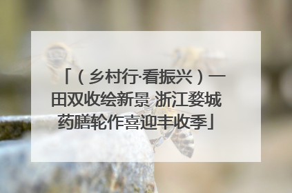 （乡村行·看振兴）一田双收绘新景 浙江婺城药膳轮作喜迎丰收季