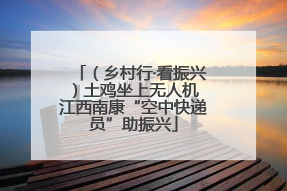 （乡村行·看振兴）土鸡坐上无人机 江西南康“空中快递员”助振兴