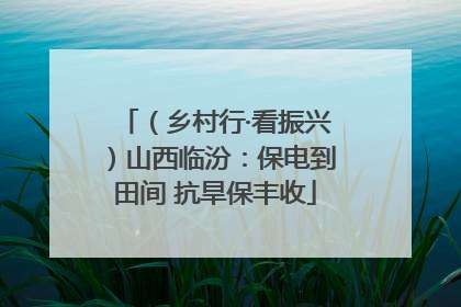 （乡村行·看振兴）山西临汾：保电到田间 抗旱保丰收