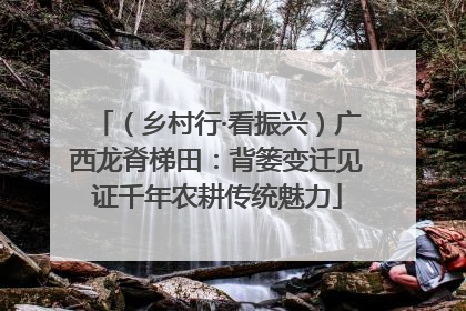 （乡村行·看振兴）广西龙脊梯田：背篓变迁见证千年农耕传统魅力