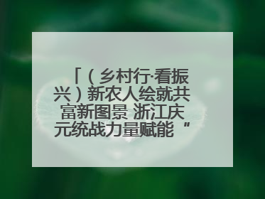 （乡村行·看振兴）新农人绘就共富新图景 浙江庆元统战力量赋能“海拔经济”