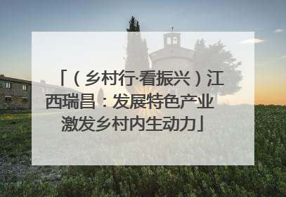 （乡村行·看振兴）江西瑞昌：发展特色产业 激发乡村内生动力