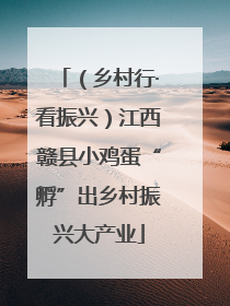 （乡村行·看振兴）江西赣县小鸡蛋“孵”出乡村振兴大产业