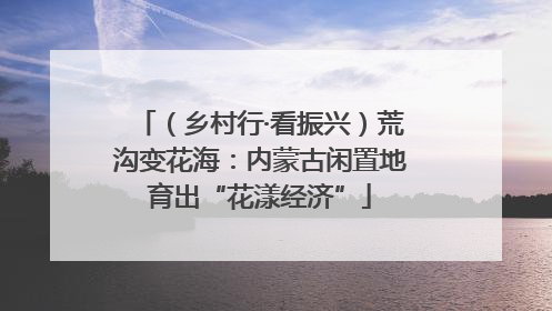 （乡村行·看振兴）荒沟变花海：内蒙古闲置地育出“花漾经济”
