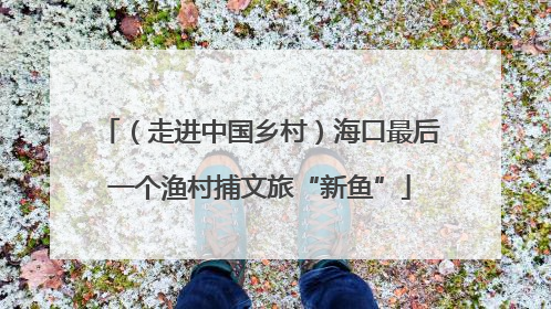 （走进中国乡村）海口最后一个渔村捕文旅“新鱼”