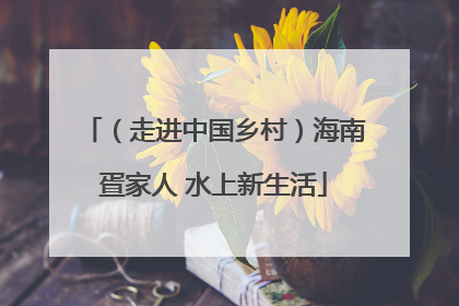 （走进中国乡村）海南疍家人 水上新生活