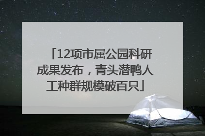 12项市属公园科研成果发布，青头潜鸭人工种群规模破百只
