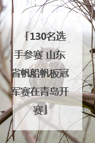 130名选手参赛 山东省帆船帆板冠军赛在青岛开赛