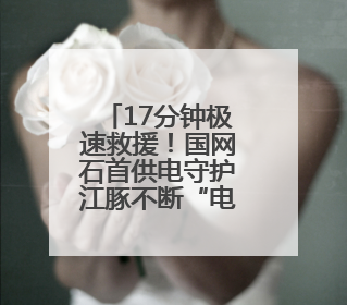 17分钟极速救援！国网石首供电守护江豚不断“电”