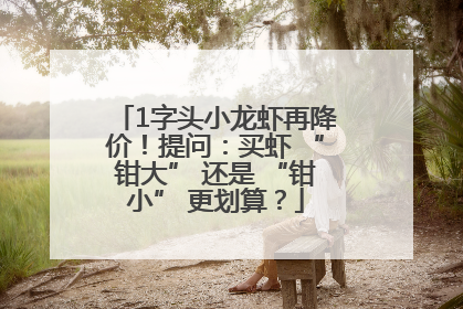 1字头小龙虾再降价！提问：买虾 “钳大” 还是 “钳小” 更划算？