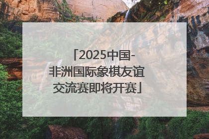 2025中国-非洲国际象棋友谊交流赛即将开赛