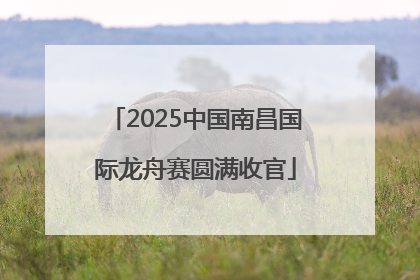 2025中国南昌国际龙舟赛圆满收官