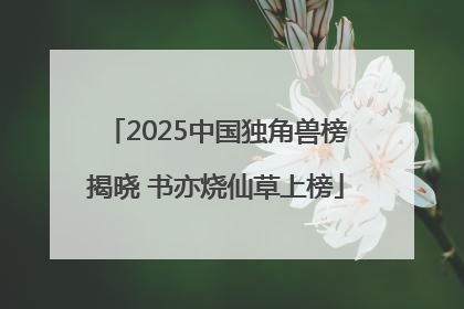 2025中国独角兽榜揭晓 书亦烧仙草上榜